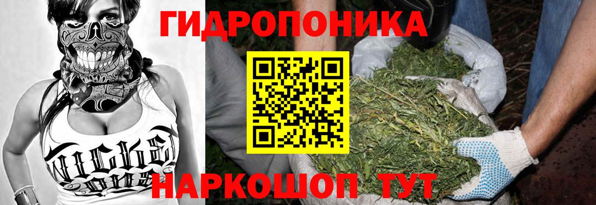 Зеленокумск  Шишки марихуана Bruce Banner  Марихуана Ganja  Вход с VPN  Канабис планчик 